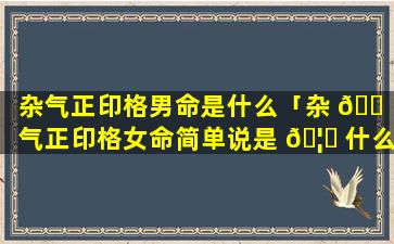 杂气正印格男命是什么「杂 🐠 气正印格女命简单说是 🦉 什么样的」